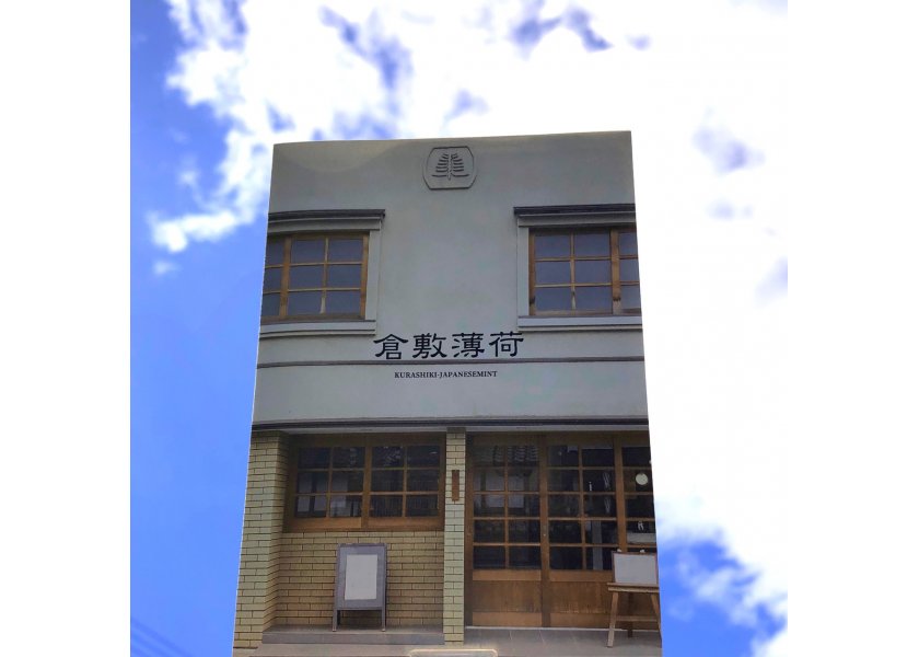 倉敷薄荷様　チラシ