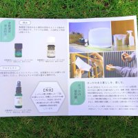 倉敷薄荷様　チラシ